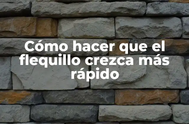Cómo Hacer que el Flequillo Crezca Más Rápido