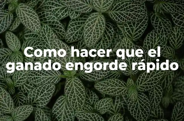 Como Hacer que el Ganado Engorde Rápido