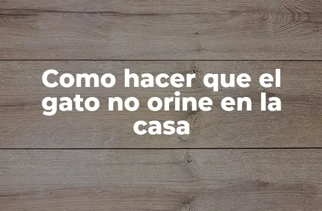 Como Hacer que el Gato No Orine en la Casa
