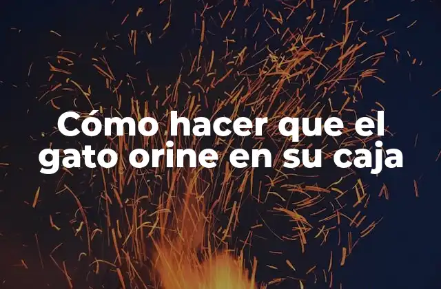 Cómo Hacer que el Gato Orine en Su Caja