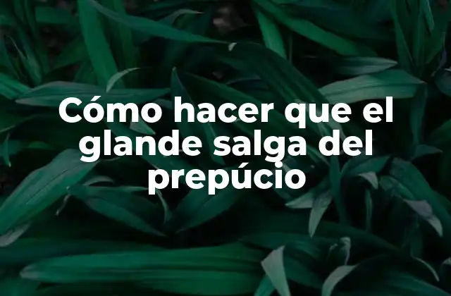 Cómo hacer que el glande salga del prepúcio