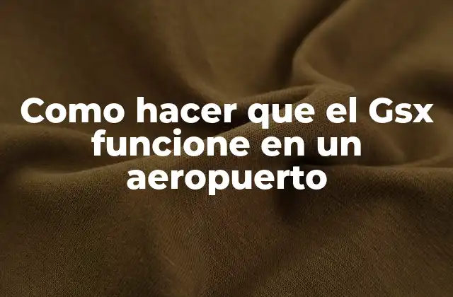 Como Hacer que el Gsx Funcione en un Aeropuerto