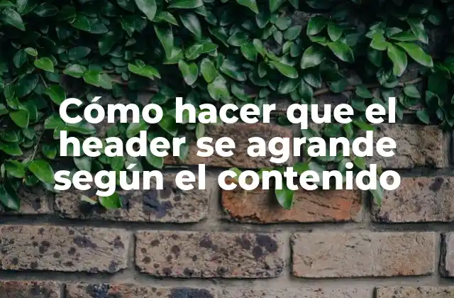 Cómo Hacer que el Header Se Agrande según el Contenido