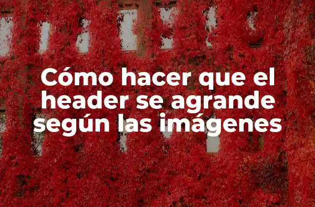 Cómo Hacer que el Header Se Agrande según las Imágenes