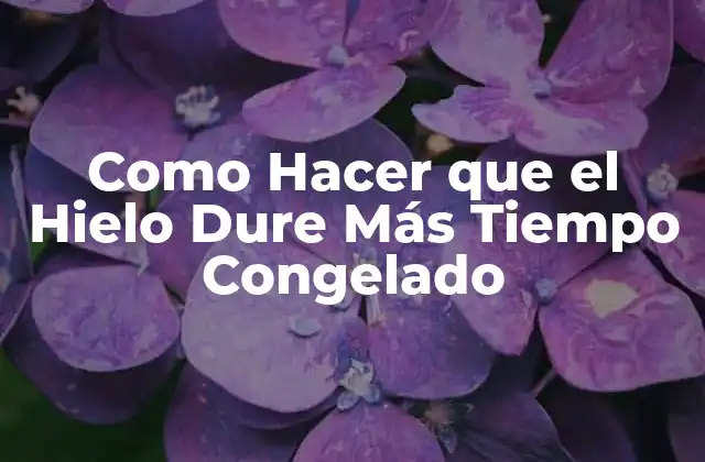 Como Hacer que el Hielo Dure Más Tiempo Congelado