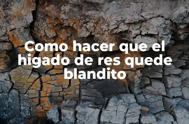 Como Hacer que el Higado de Res Quede Blandito