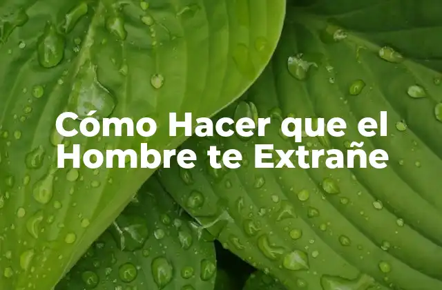 Cómo Hacer que el Hombre Te Extrañe