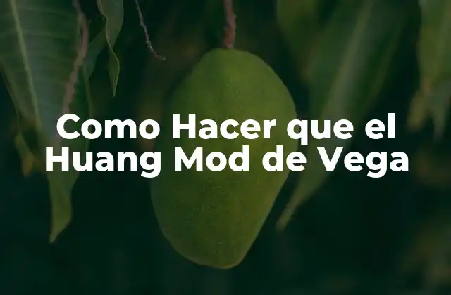 Como Hacer que el Huang Mod de Vega