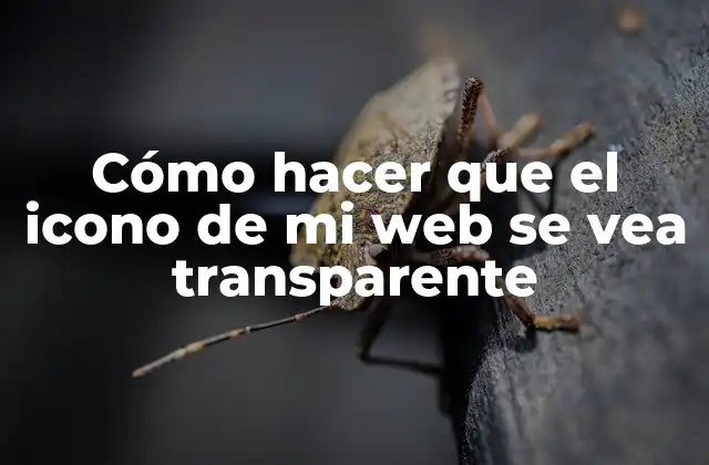 Cómo Hacer que el Icono de Mi Web Se Vea Transparente