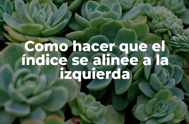 Como Hacer que el Índice Se Alinee a la Izquierda