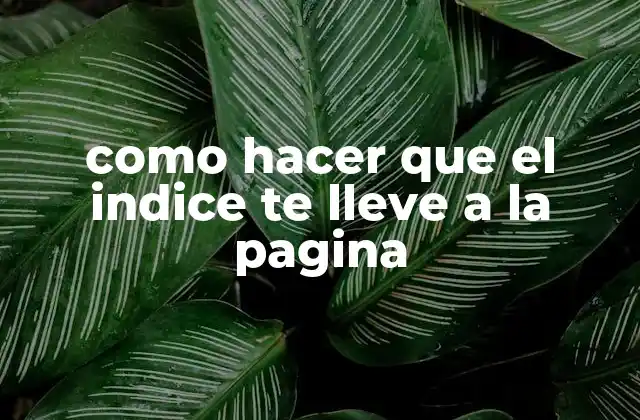 Como Hacer que el Indice Te Lleve a la Pagina