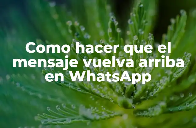 Como Hacer que el Mensaje Vuelva Arriba en Whatsapp
