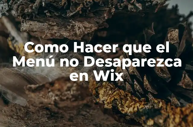 ¿Qué es el Menú en Wix y para qué Sirve?