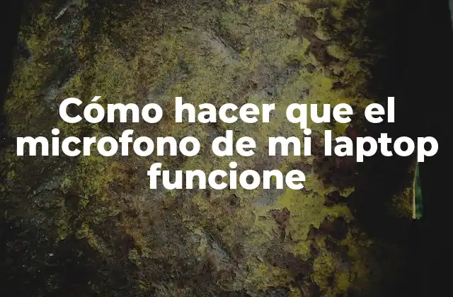 Cómo Hacer que el Microfono de Mi Laptop Funcione