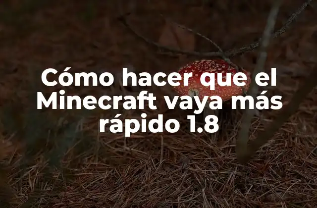 Cómo Hacer que el Minecraft Vaya Más Rápido 1.8