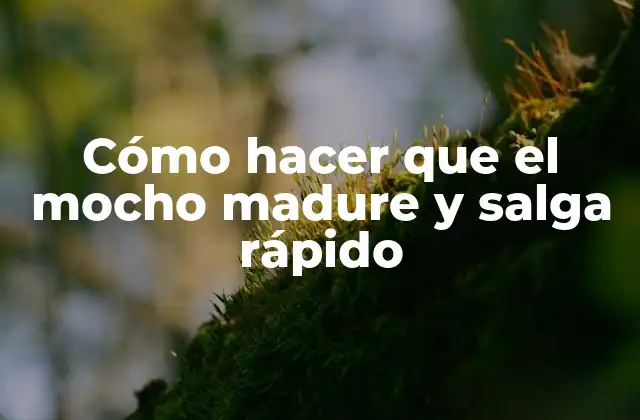 Cómo Hacer que el Mocho Madure y Salga Rápido