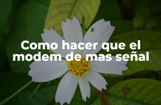 ¿Qué es un modem y cómo funciona?