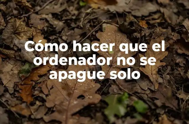 Cómo Hacer que el Ordenador No Se Apague Solo