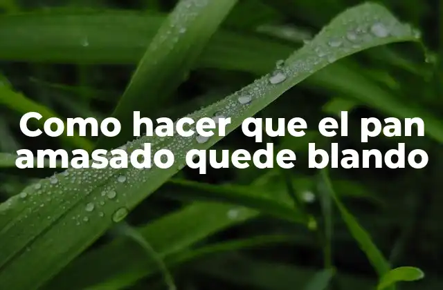 Como Hacer que el Pan Amasado Quede Blando