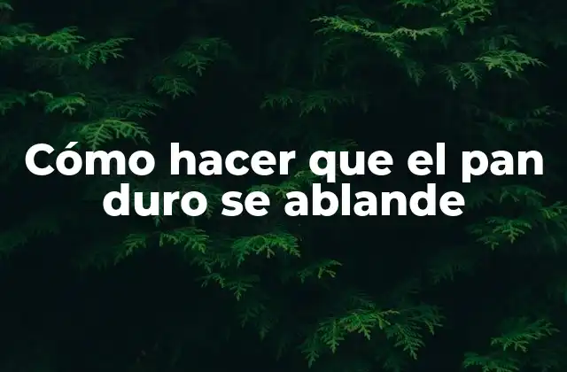 Cómo Hacer que el Pan Duro Se Ablande