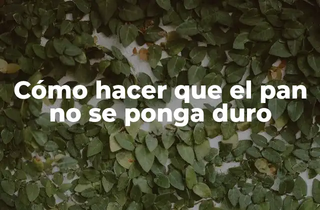 Cómo Hacer que el Pan No Se Ponga Duro