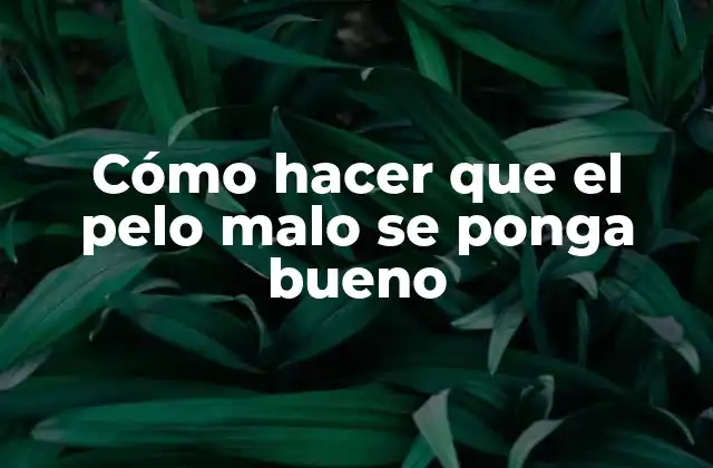 Cómo Hacer que el Pelo Malo Se Ponga Bueno