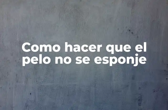 Como Hacer que el Pelo No Se Esponje