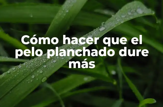 Cómo Hacer que el Pelo Planchado Dure Más