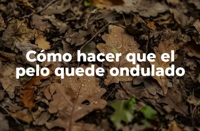 Cómo Hacer que el Pelo Quede Ondulado