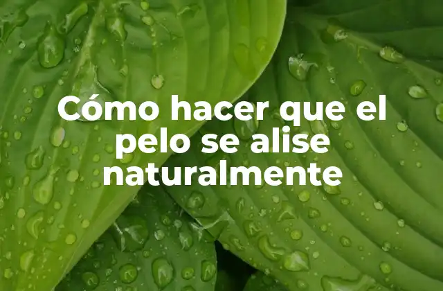 Cómo Hacer que el Pelo Se Alise Naturalmente 2 Cómo hacer que el pelo se alise naturalmente