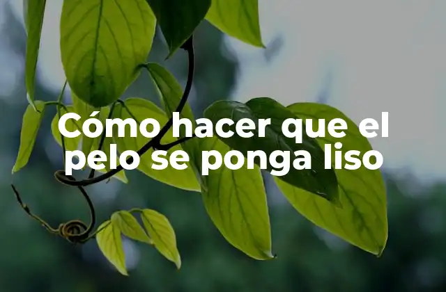 Cómo Hacer que el Pelo Se Ponga Liso 2 Cómo hacer que el pelo se ponga liso: Concepto y Beneficios