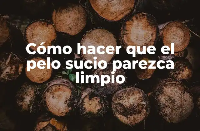 Cómo Hacer que el Pelo Sucio Parezca Limpio 2 Cómo hacer que el pelo sucio parezca limpio