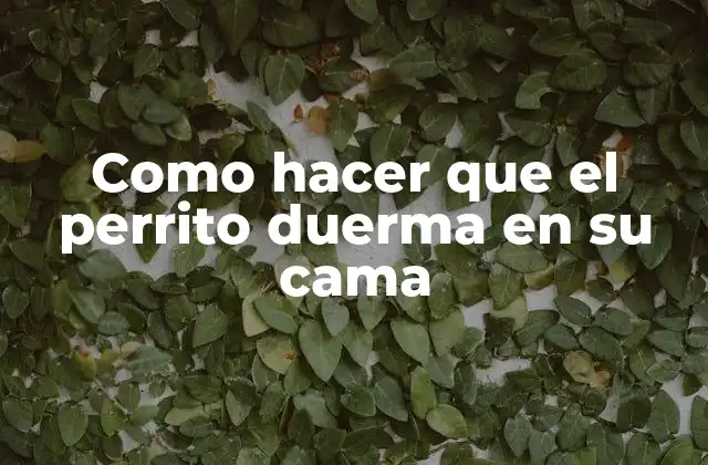 Como Hacer que el Perrito Duerma en Su Cama