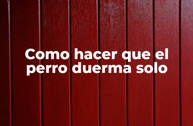Como Hacer que el Perro Duerma Solo 2 ¿Qué es entrenar a un perro para dormir solo?