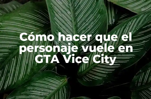 Cómo Hacer que el Personaje Vuele en Gta Vice City