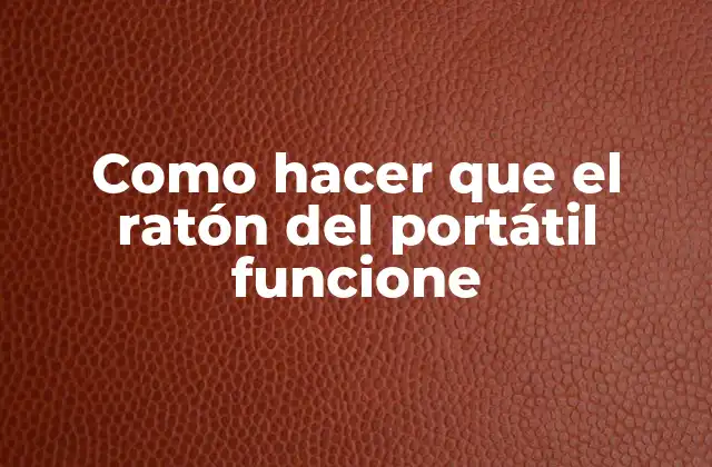 Como Hacer que el Ratón Del Portátil Funcione