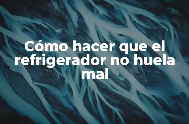 Cómo Hacer que el Refrigerador No Huela Mal 2 Cómo hacer que el refrigerador no huela mal