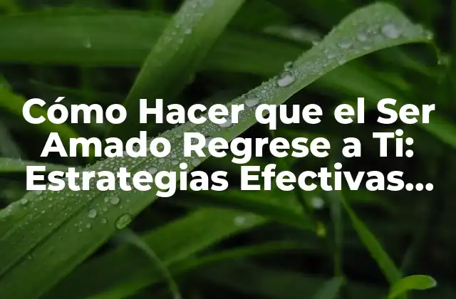 Cómo Hacer que el Ser Amado Regrese a Ti: Estrategias Efectivas para Reconciliarte