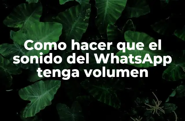 Como Hacer que el Sonido Del Whatsapp Tenga Volumen