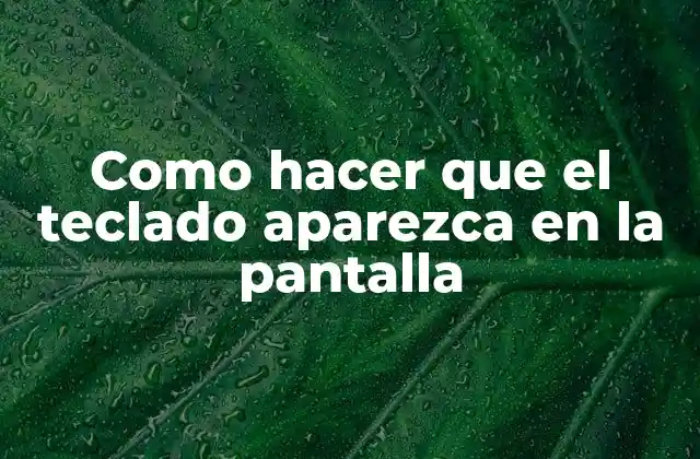 Como Hacer que el Teclado Aparezca en la Pantalla