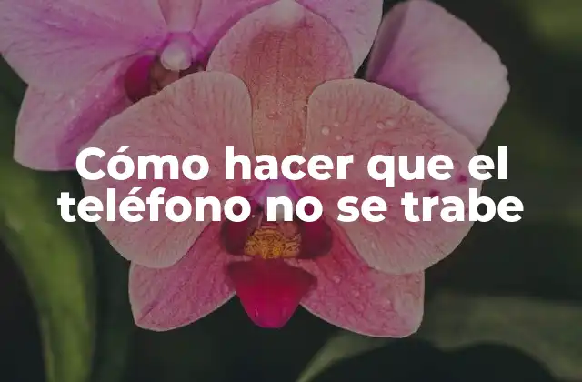 Cómo Hacer que el Teléfono No Se Trabe