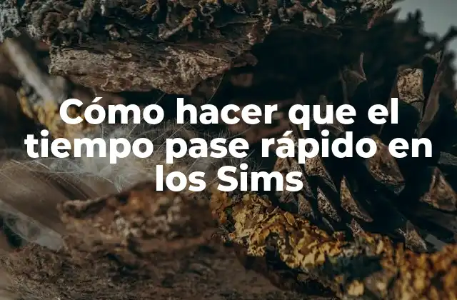 Cómo Hacer que el Tiempo Pase Rápido en los Sims