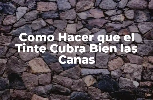 Como Hacer que el Tinte Cubra Bien las Canas