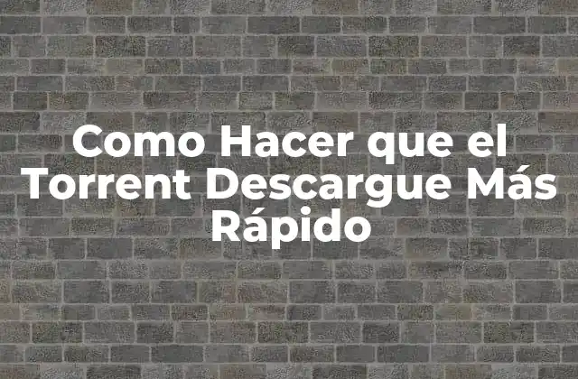 Como Hacer que el Torrent Descargue Más Rápido