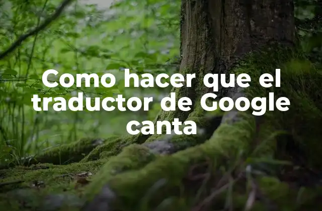 Como Hacer que el Traductor de Google Canta