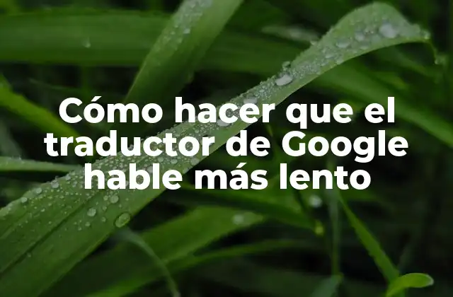 El traductor de Google y su función de voz