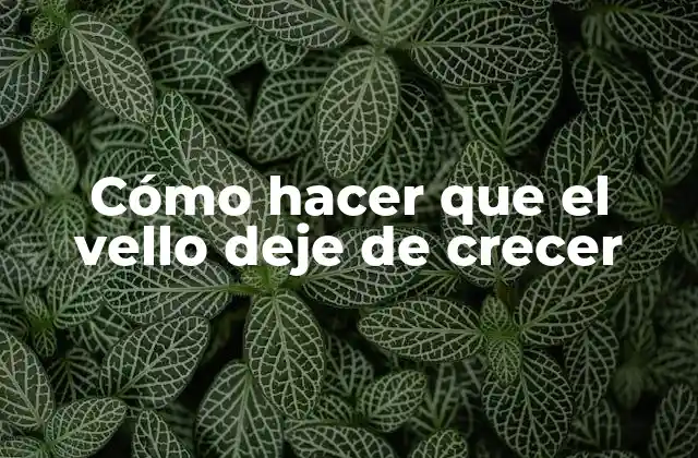 Cómo Hacer que el Vello Deje de Crecer