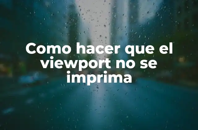 Como Hacer que el Viewport No Se Imprima