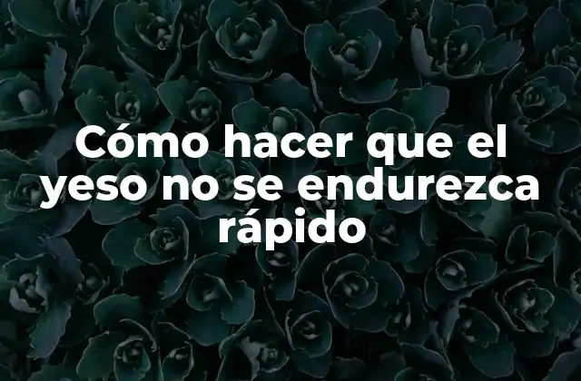 Cómo Hacer que el Yeso No Se Endurezca Rápido