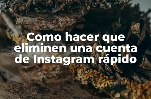 Como Hacer que Eliminen una Cuenta de Instagram Rápido